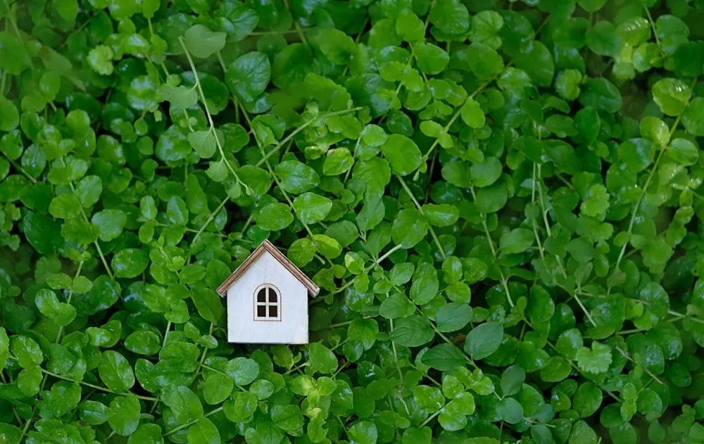 Small model house with a gable roof sits on a bed of green foliage, creating a contrast between the man-made structure and nature.